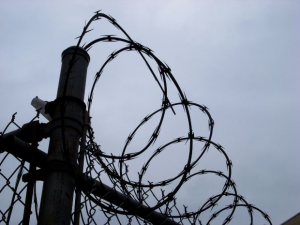 Fence