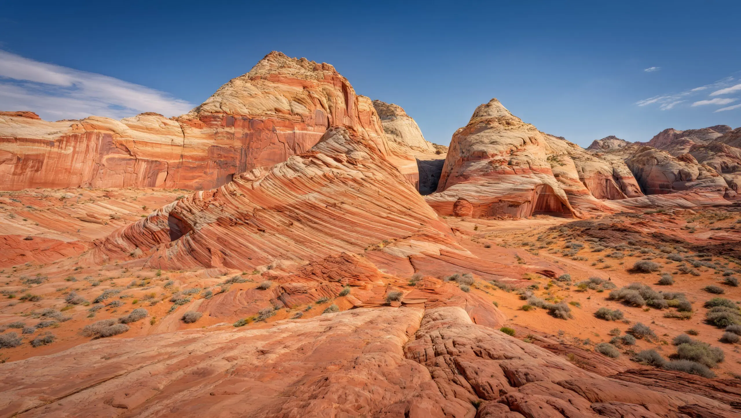 Snell & Wilmer News