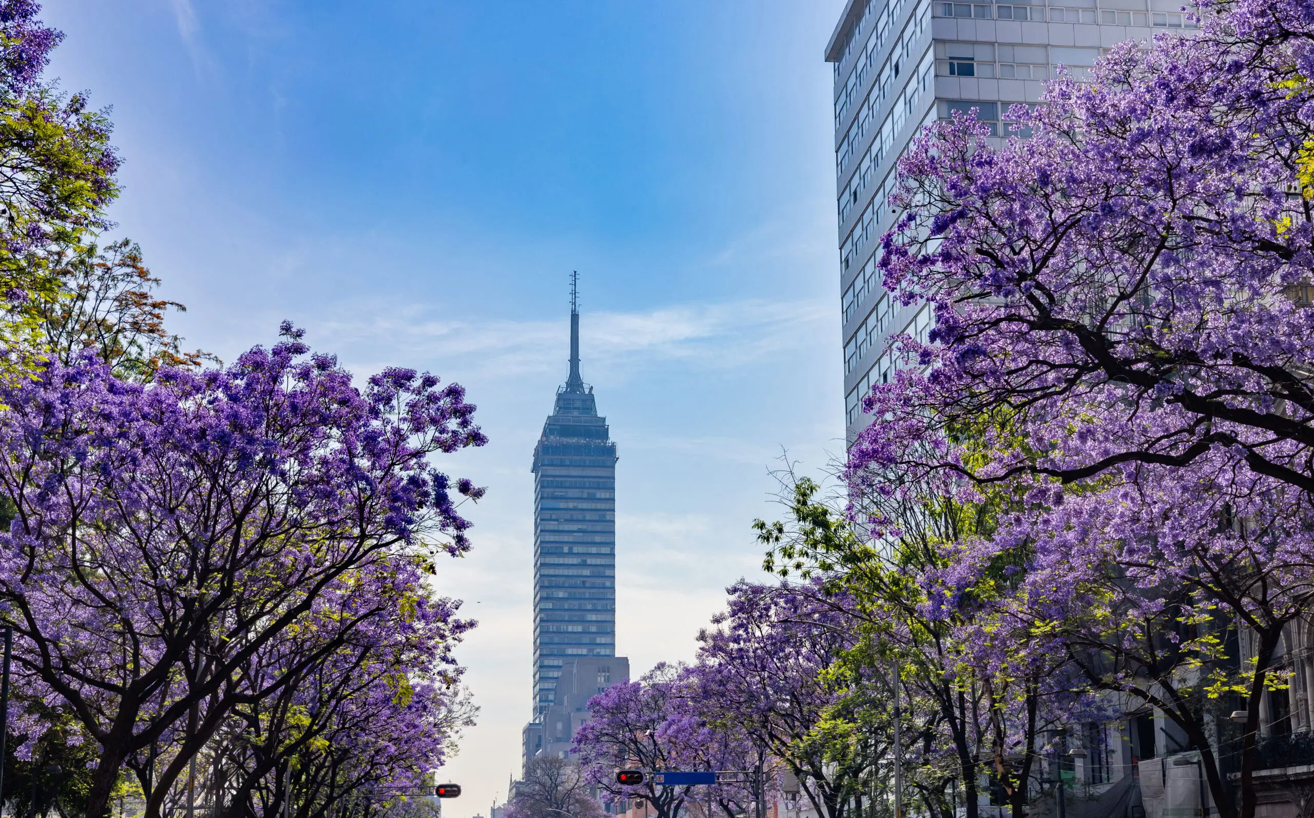 Mexico City Law Office of Snell & Wilmer